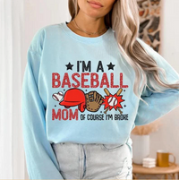 Broke Baseball Mom