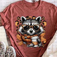 Fall Raccoon