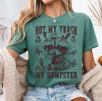 Not My Trash Not My Dumpster
