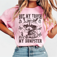 Not My Trash Not My Dumpster