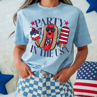 Party in the USA