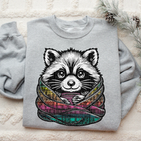 Raccoon With Blanket