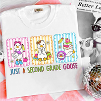 Second Grade Goose