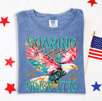 Soaring Free (Eagle)