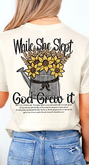 While She Slept God Grew It (SET)