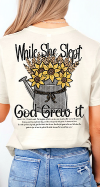 While She Slept God Grew It (SET)